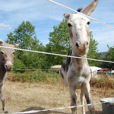 Camping La Foret Du Morvan Larochemillay Esterno foto
