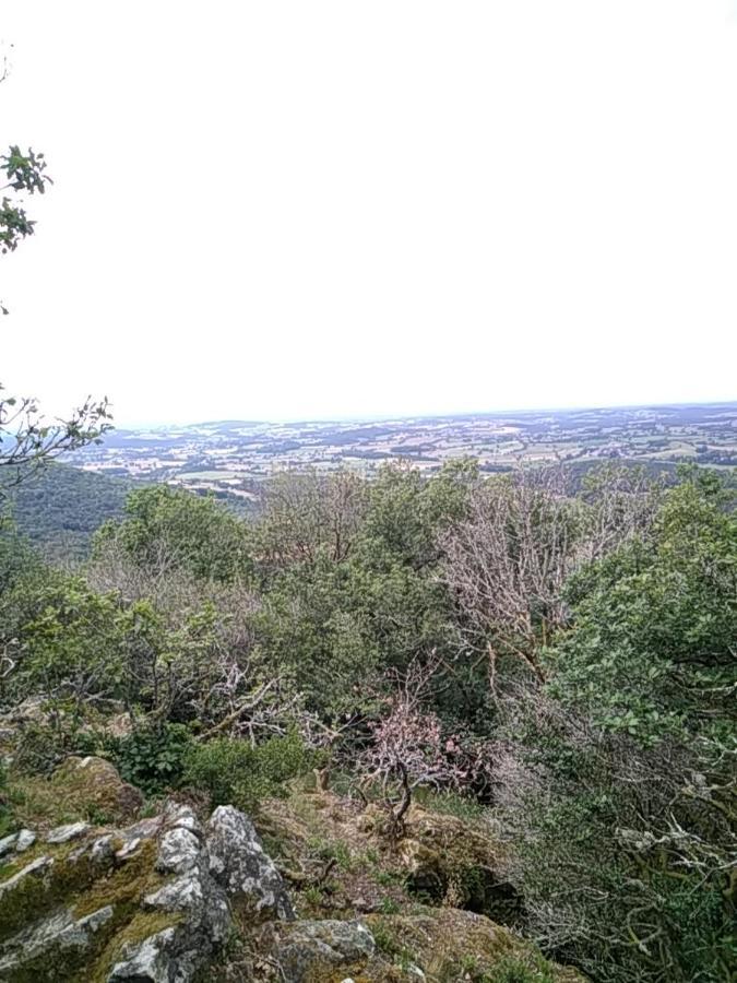 Camping La Foret Du Morvan Larochemillay Esterno foto